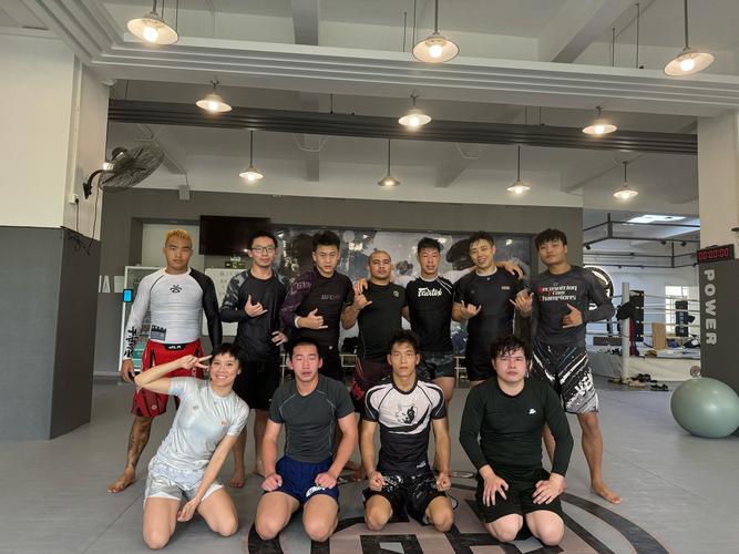 mma技能,mma技能名称-第3张图片-93游戏 mma技能,mma技能名称-第3张图片-93游戏