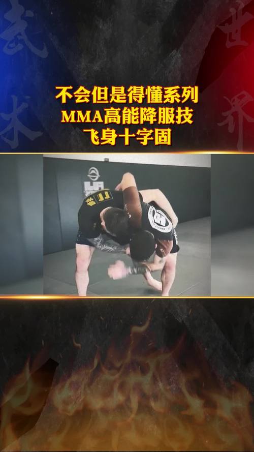 mma技能,mma技能名称-第4张图片-93游戏 mma技能,mma技能名称-第4张图片-93游戏