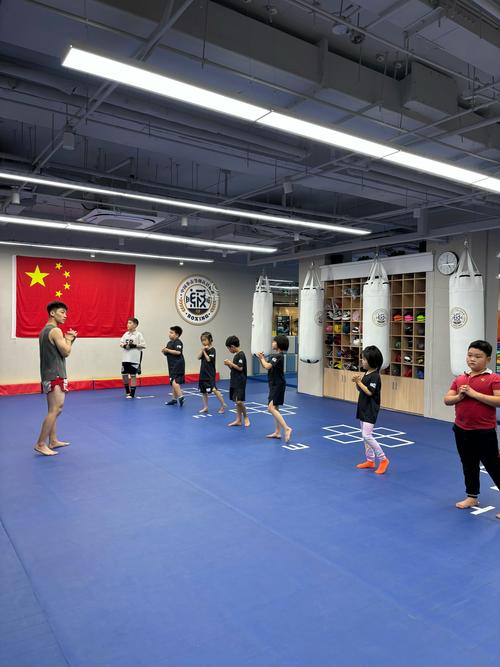 格斗教学技能?格斗技法-第7张图片-93游戏 格斗教学技能?格斗技法-第7张图片-93游戏