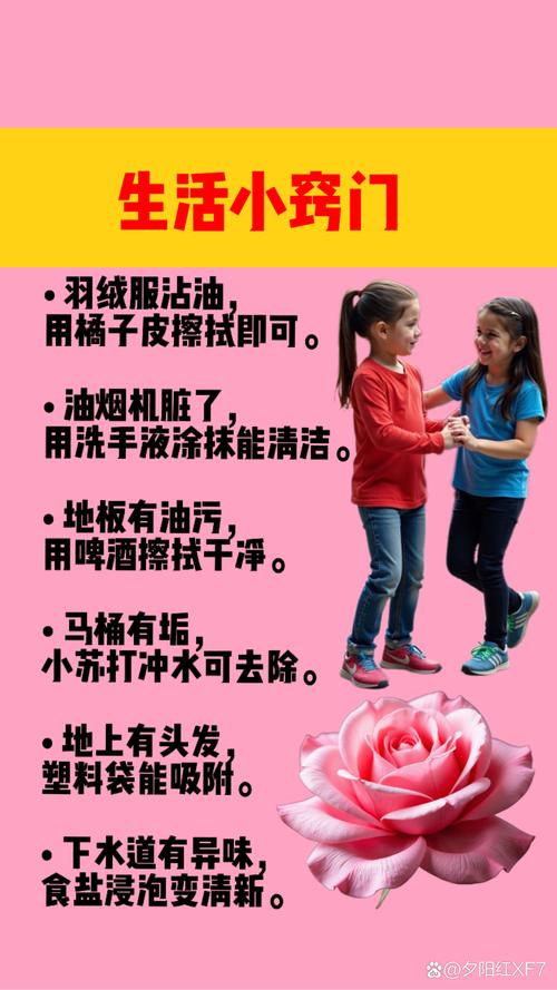 生活新技能,生活新技能20个简单-第2张图片-93游戏 生活新技能,生活新技能20个简单-第2张图片-93游戏