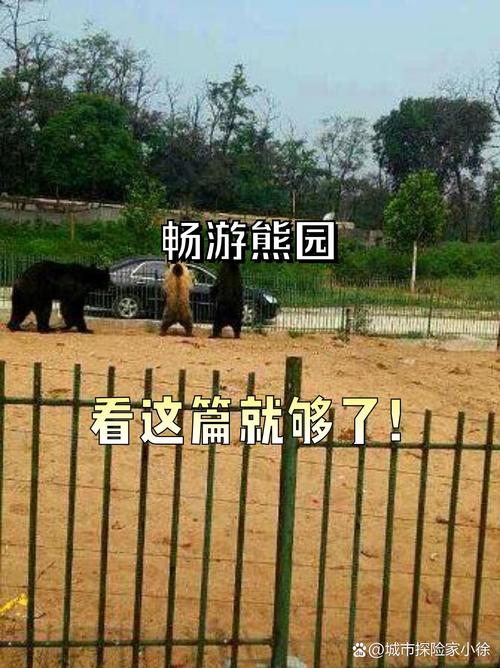 辅助狗熊技能?lol狗熊辅助好还是上单好?-第8张图片-93游戏 辅助狗熊技能?lol狗熊辅助好还是上单好?-第8张图片-93游戏