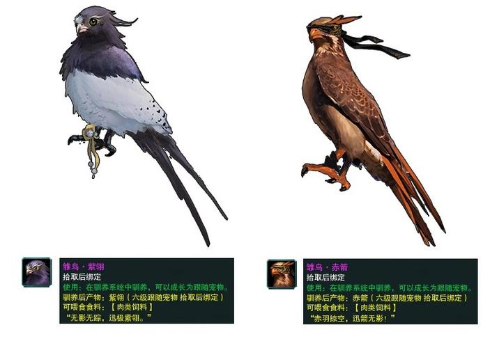 丐帮跟宠技能?丐帮门派跟宠完整攻略-第3张图片-93游戏 丐帮跟宠技能?丐帮门派跟宠完整攻略-第3张图片-93游戏