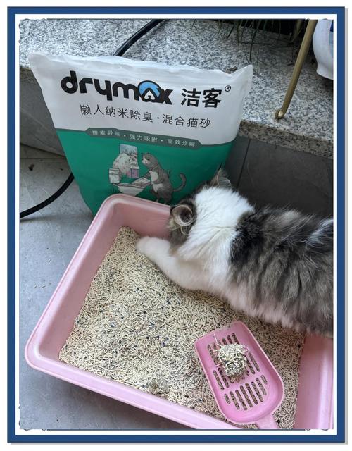 洁咪技能表?洁咪性格和配招?-第4张图片-93游戏 洁咪技能表?洁咪性格和配招?-第4张图片-93游戏