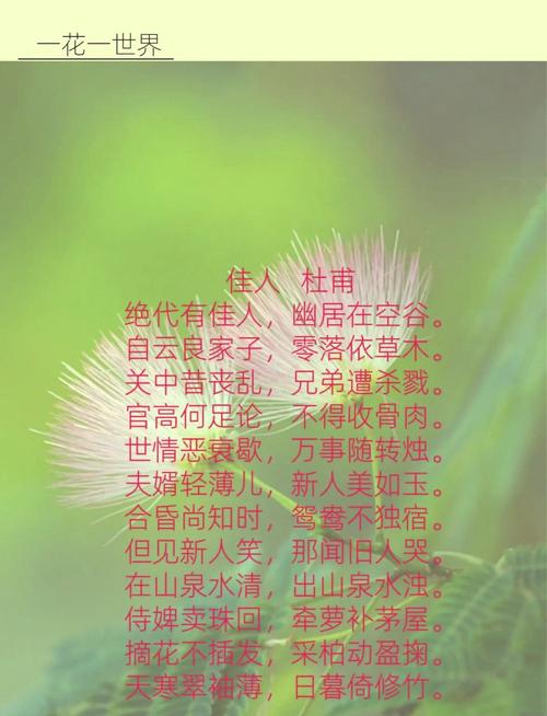 合欢技能诗?合欢技能加点图-第1张图片-93游戏 合欢技能诗?合欢技能加点图-第1张图片-93游戏