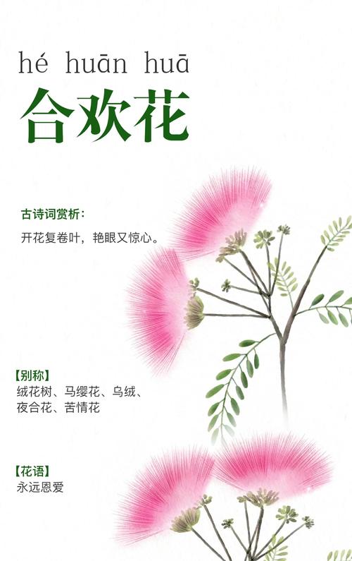 合欢技能诗?合欢技能加点图-第6张图片-93游戏 合欢技能诗?合欢技能加点图-第6张图片-93游戏