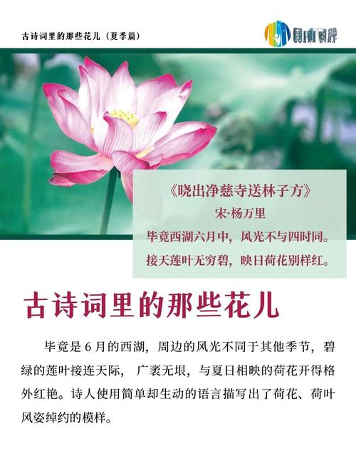 合欢技能诗?合欢技能加点图-第7张图片-93游戏 合欢技能诗?合欢技能加点图-第7张图片-93游戏