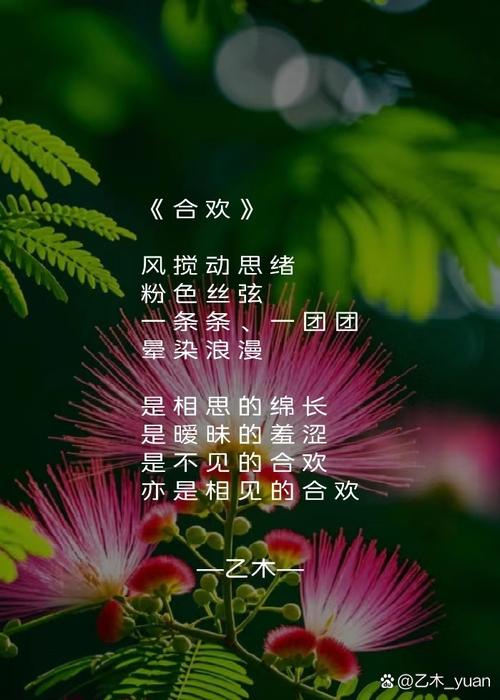 合欢技能诗?合欢技能加点图-第8张图片-93游戏 合欢技能诗?合欢技能加点图-第8张图片-93游戏