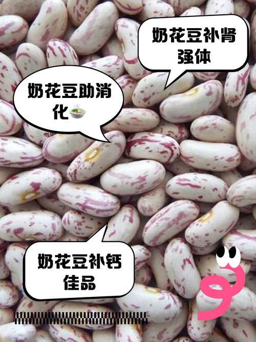 95奶花技能?90奶花cw?-第1张图片-93游戏 95奶花技能?90奶花cw?-第1张图片-93游戏