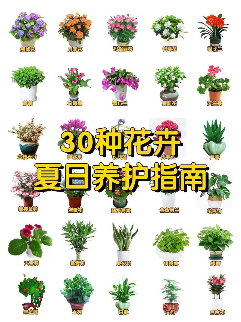 种花的技能,种花的技能叫什么-第5张图片-93游戏 种花的技能,种花的技能叫什么-第5张图片-93游戏
