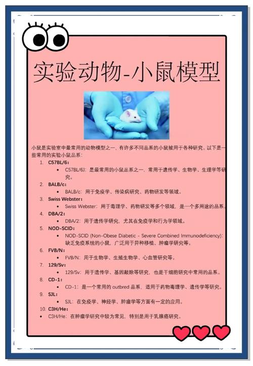 探探鼠技能?探探鼠配招-第3张图片-93游戏 探探鼠技能?探探鼠配招-第3张图片-93游戏