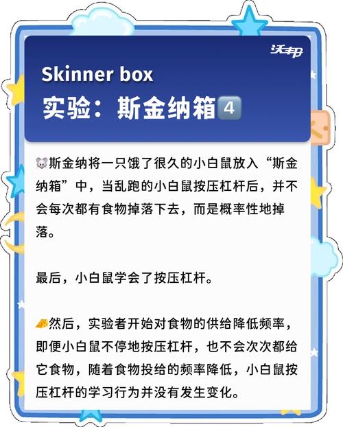 探探鼠技能?探探鼠配招-第4张图片-93游戏 探探鼠技能?探探鼠配招-第4张图片-93游戏